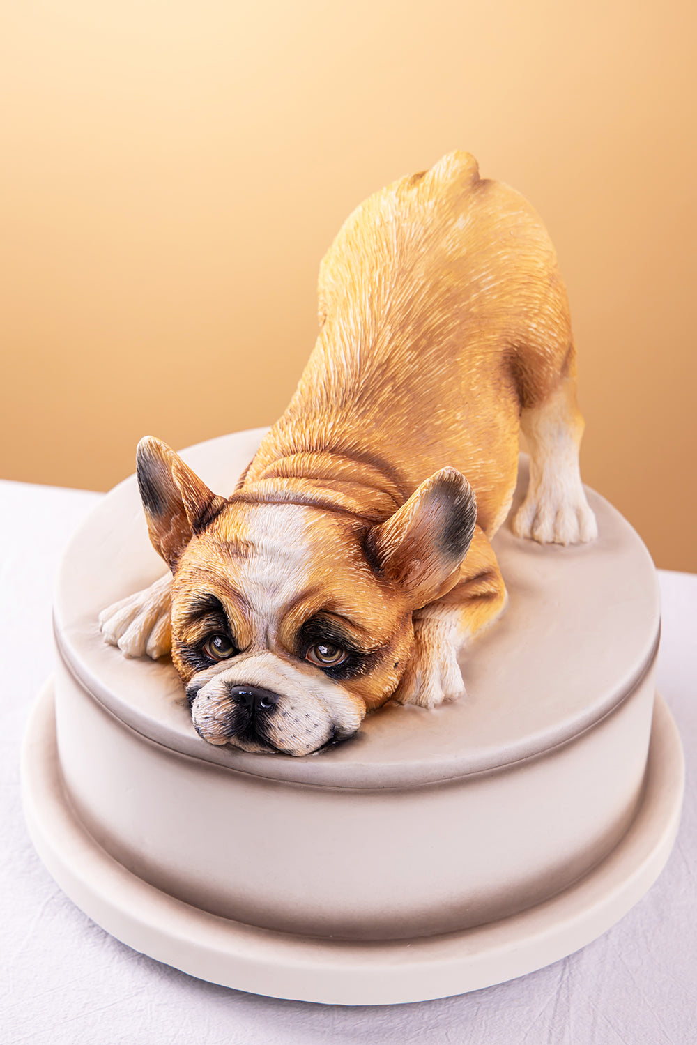 3D French Bulldog Fondant Cake Course