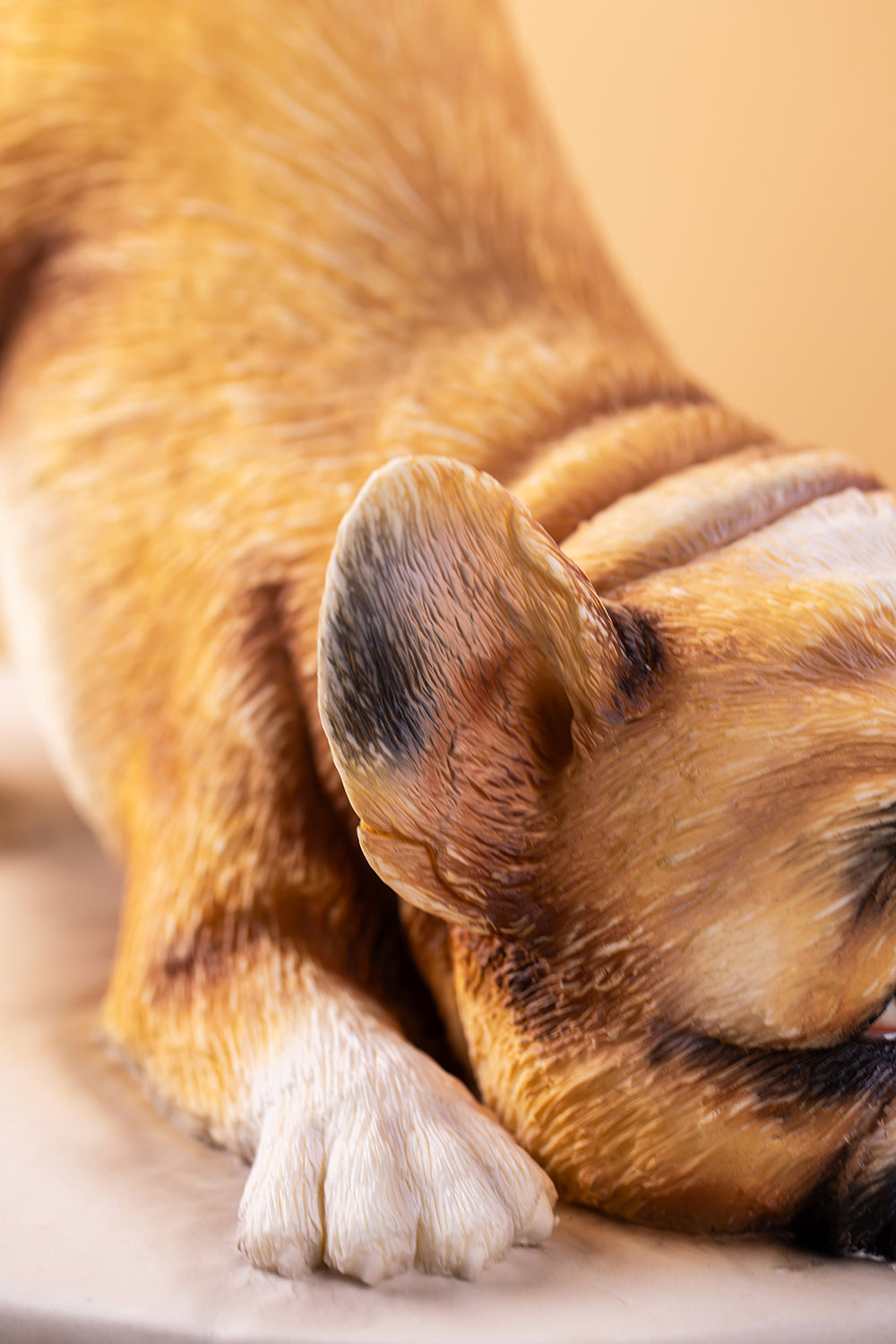 3D French Bulldog Fondant Cake Course