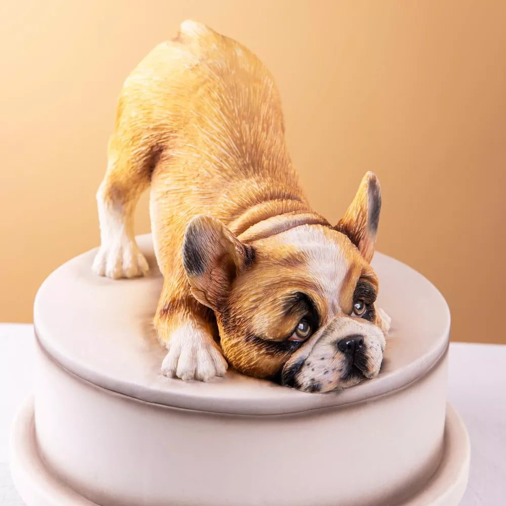 3D Fondant Animal Cake Series Courses