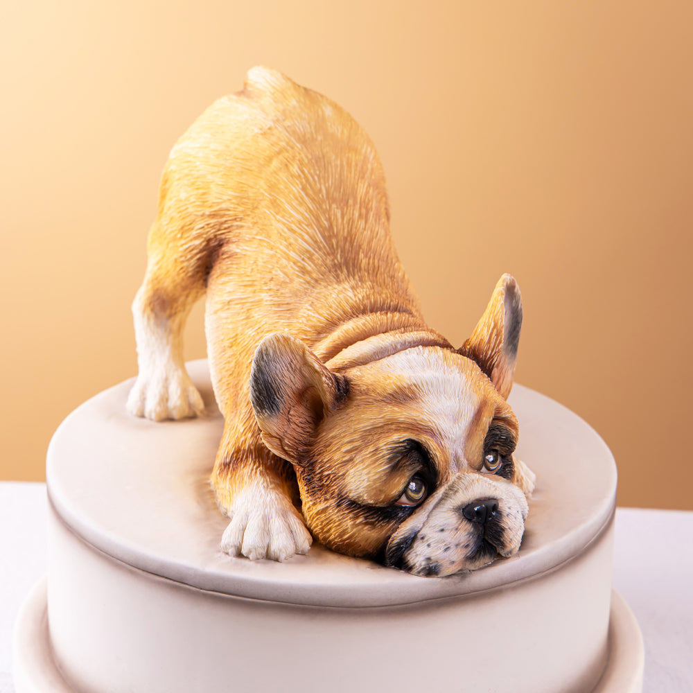 3D French Bulldog Fondant Cake Course