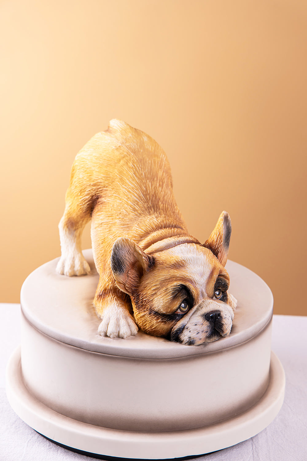 3D French Bulldog Fondant Cake Course