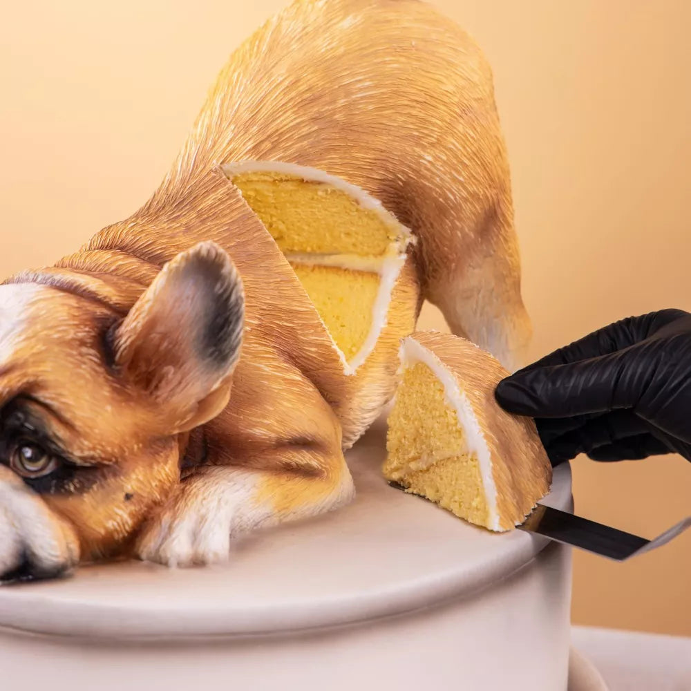 3D Fondant Animal Cake Series Courses